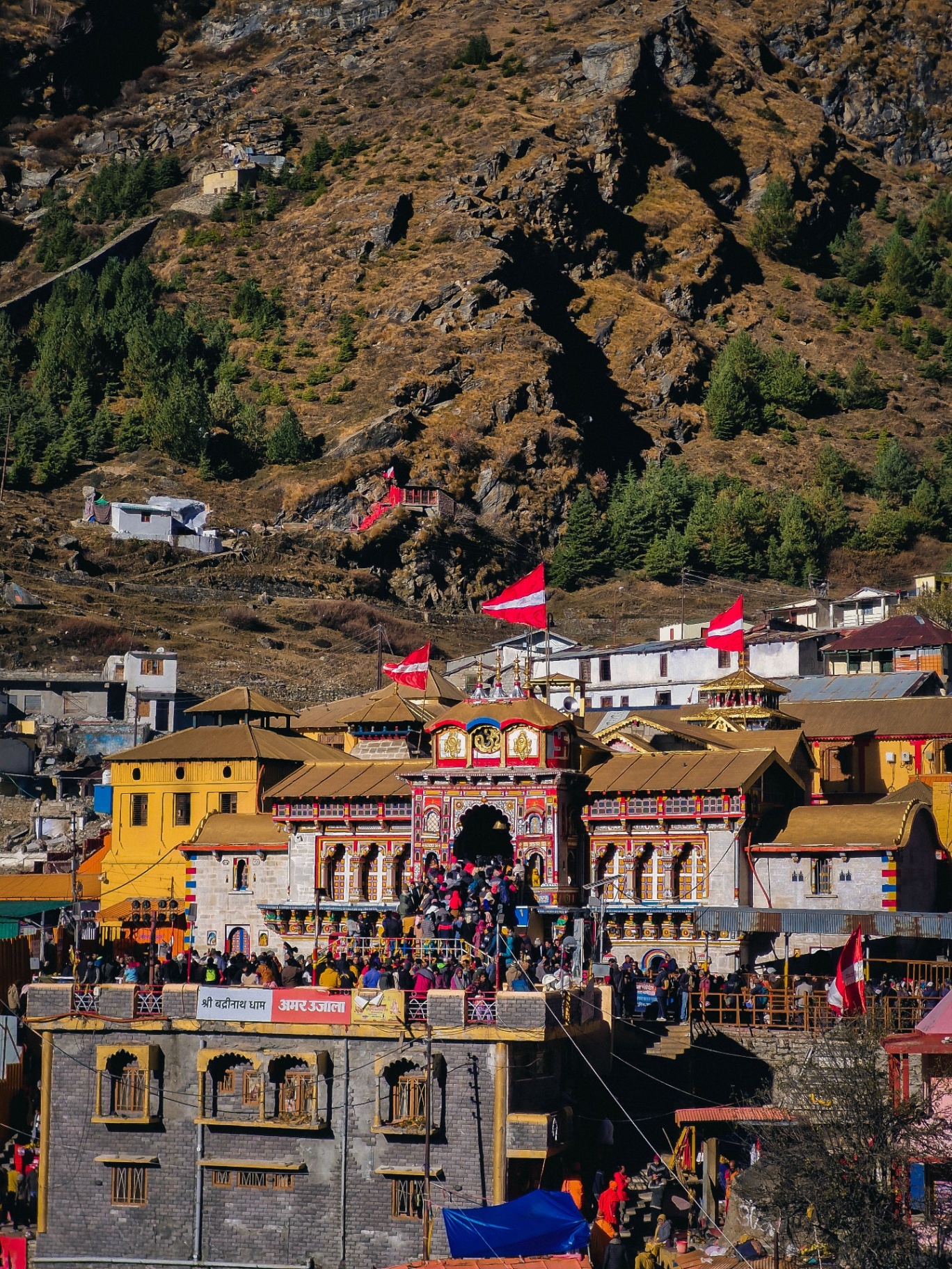Do Dham Yatra (Kedarnath + Badrinath) — photo 2