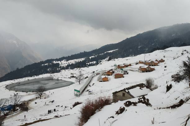 Chopta Auli Tour (Mini Switzerland) — photo 2